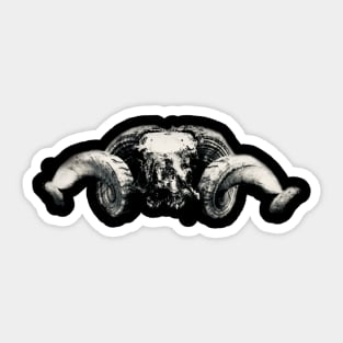 Ram Skull II / Swiss Artwork Photography Sticker